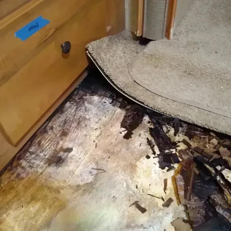 Wood Floor Water Damage in Huron, OH